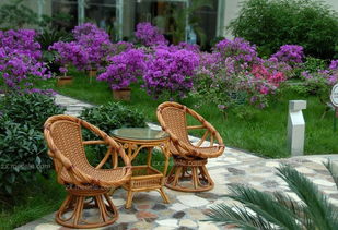 什么是藤椅 藤椅的保養介紹