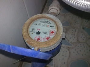 老師傅把前置過濾器裝在屋外，開始并不明白，一問才知好處這么多